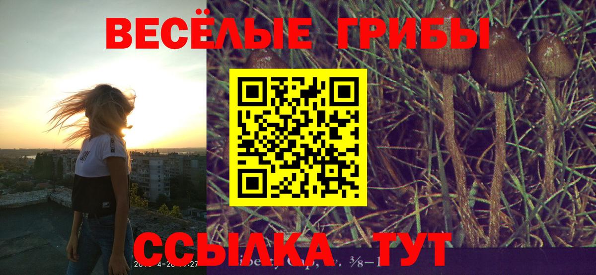 Псилоцибиновые грибы Psilocybine cubensis  Вход с VPN  Губкинский 