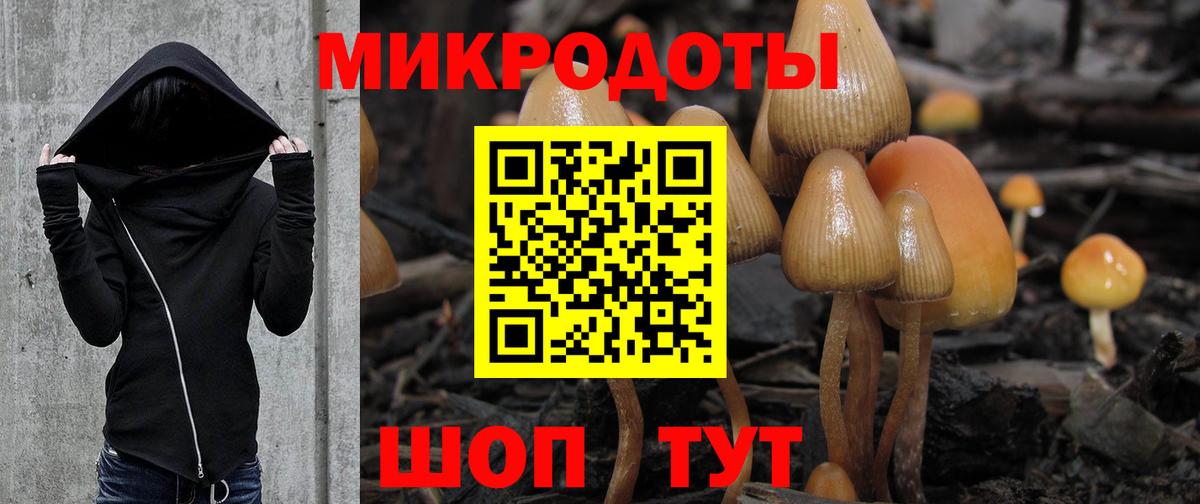МЕФ Губкинский